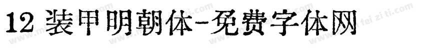 12 装甲明朝体字体转换